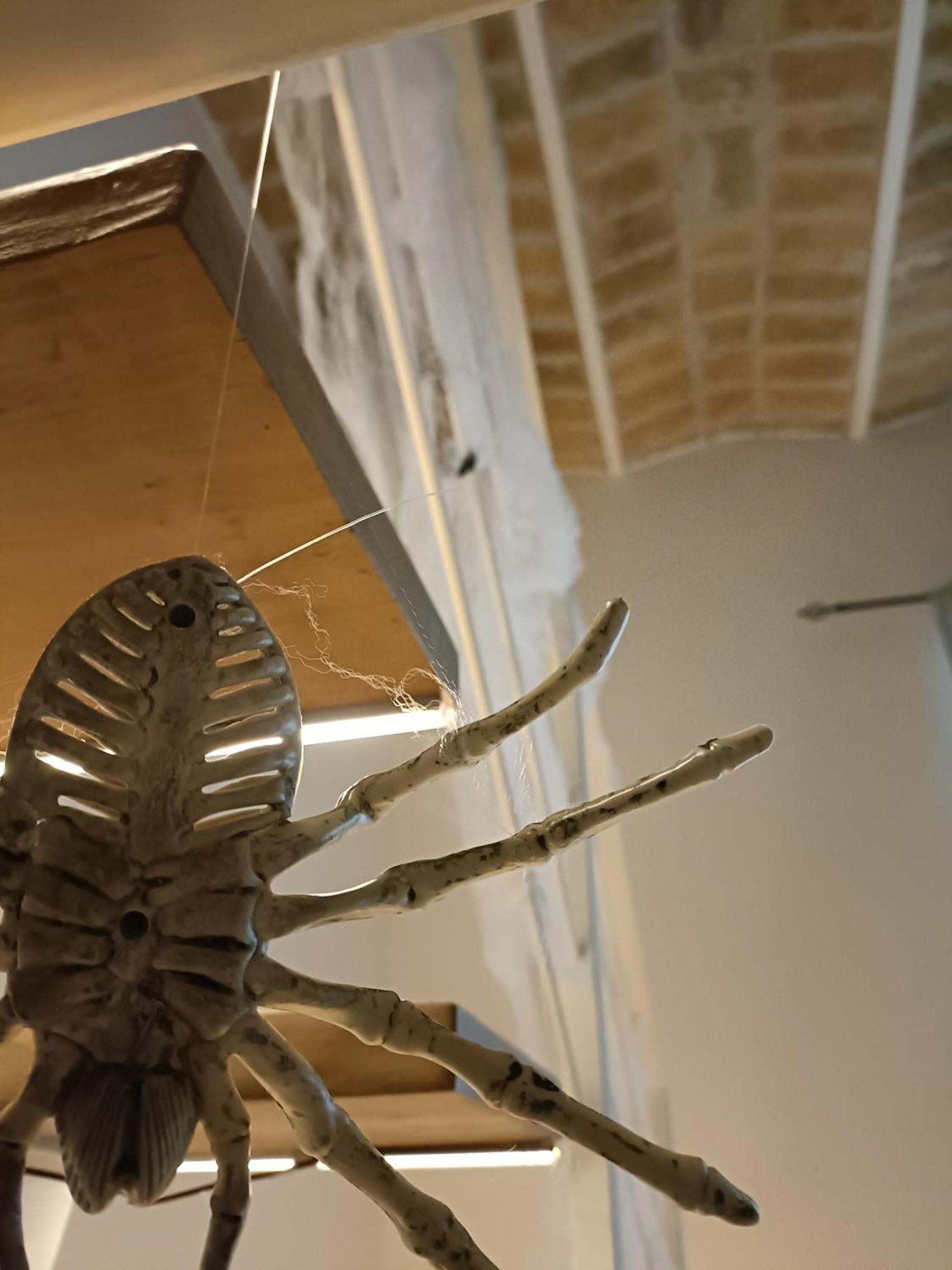 Trastevere In Loft 罗马 外观 照片